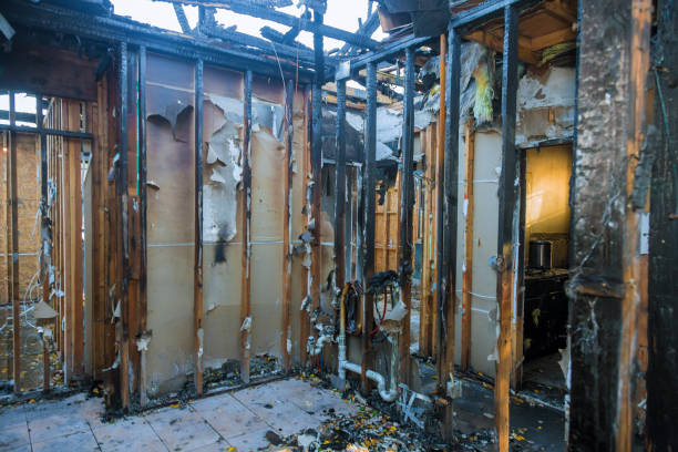 Professional Structural Rebuild technician working in Shrewsbury, NJ